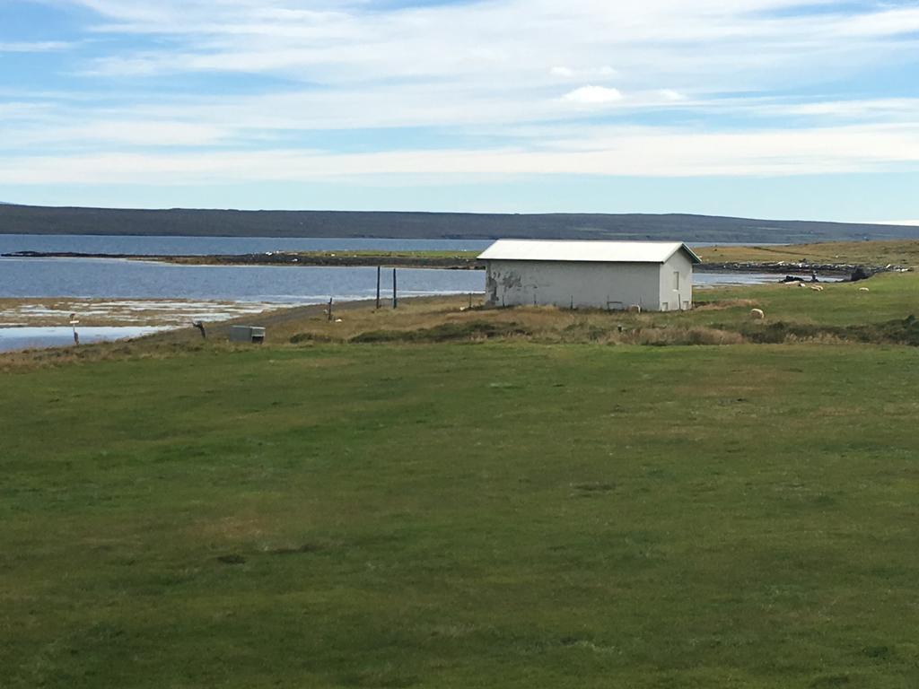 - The House By The Sea